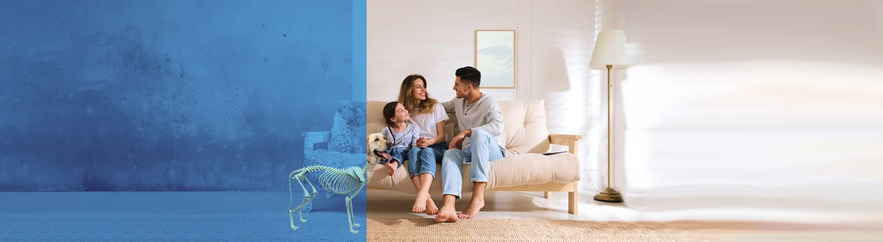 Fondo tratamientos humedad