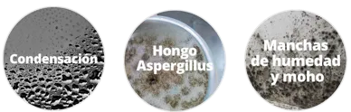 Condensación, Aspergilus y manchas de Humedad